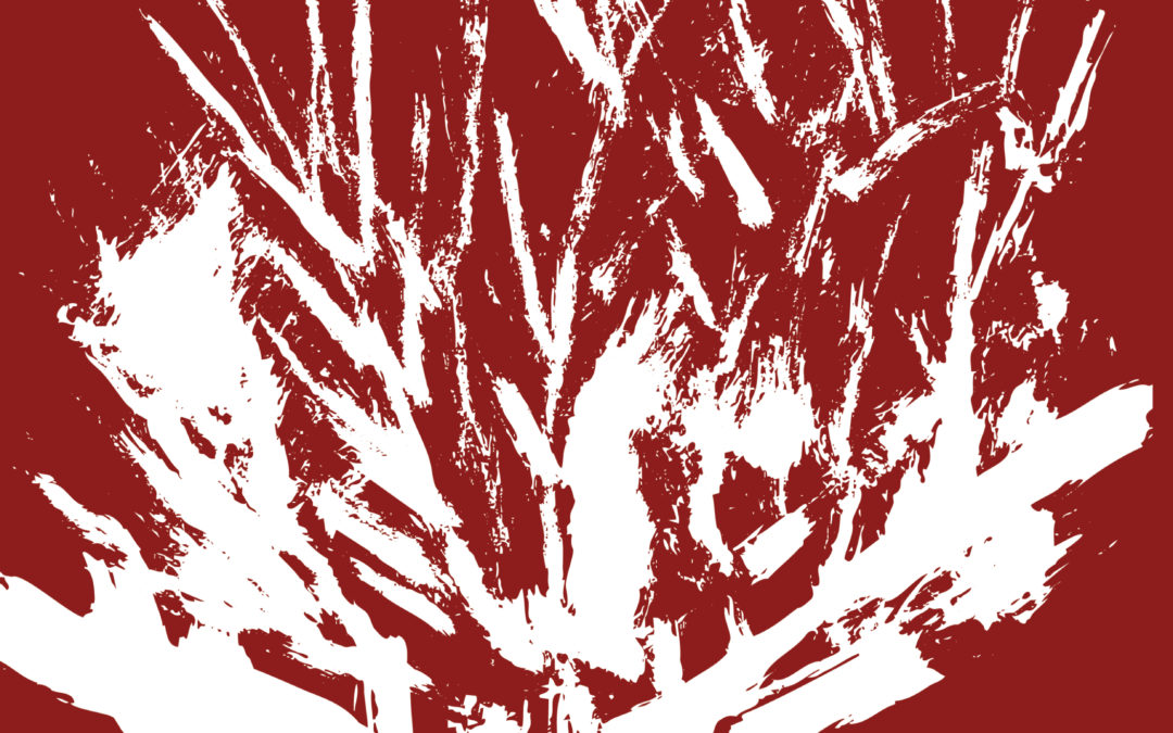 Sommaire du numéro hors série – 80 ans de l’UPJB